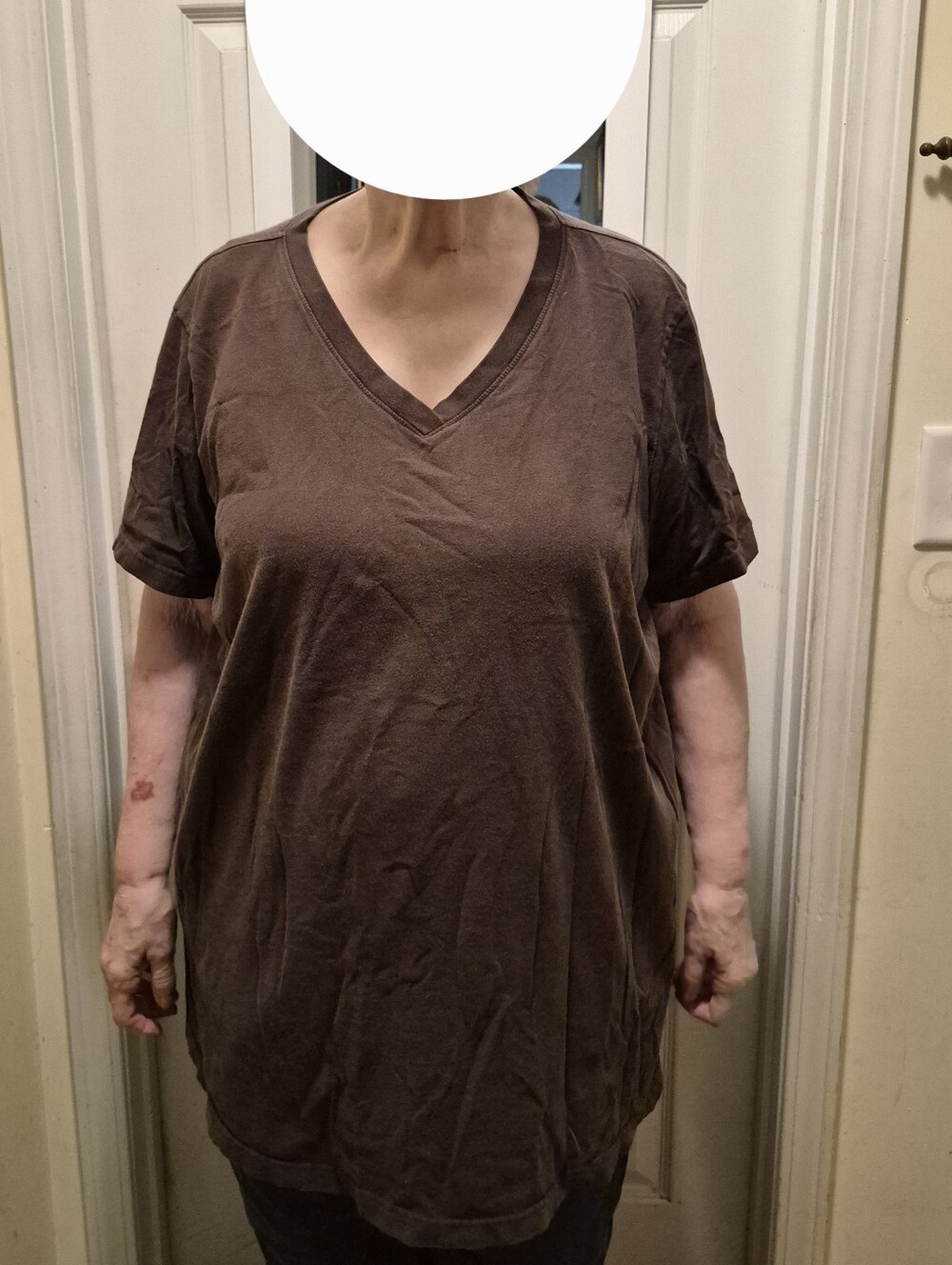 Women's V-Neck Short Sleeve Shirt - Brown